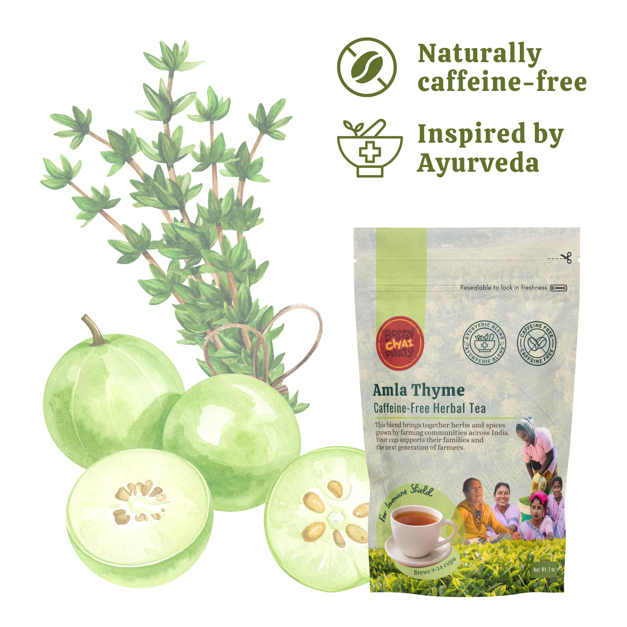 Amla Thyme Immune Defense Tea