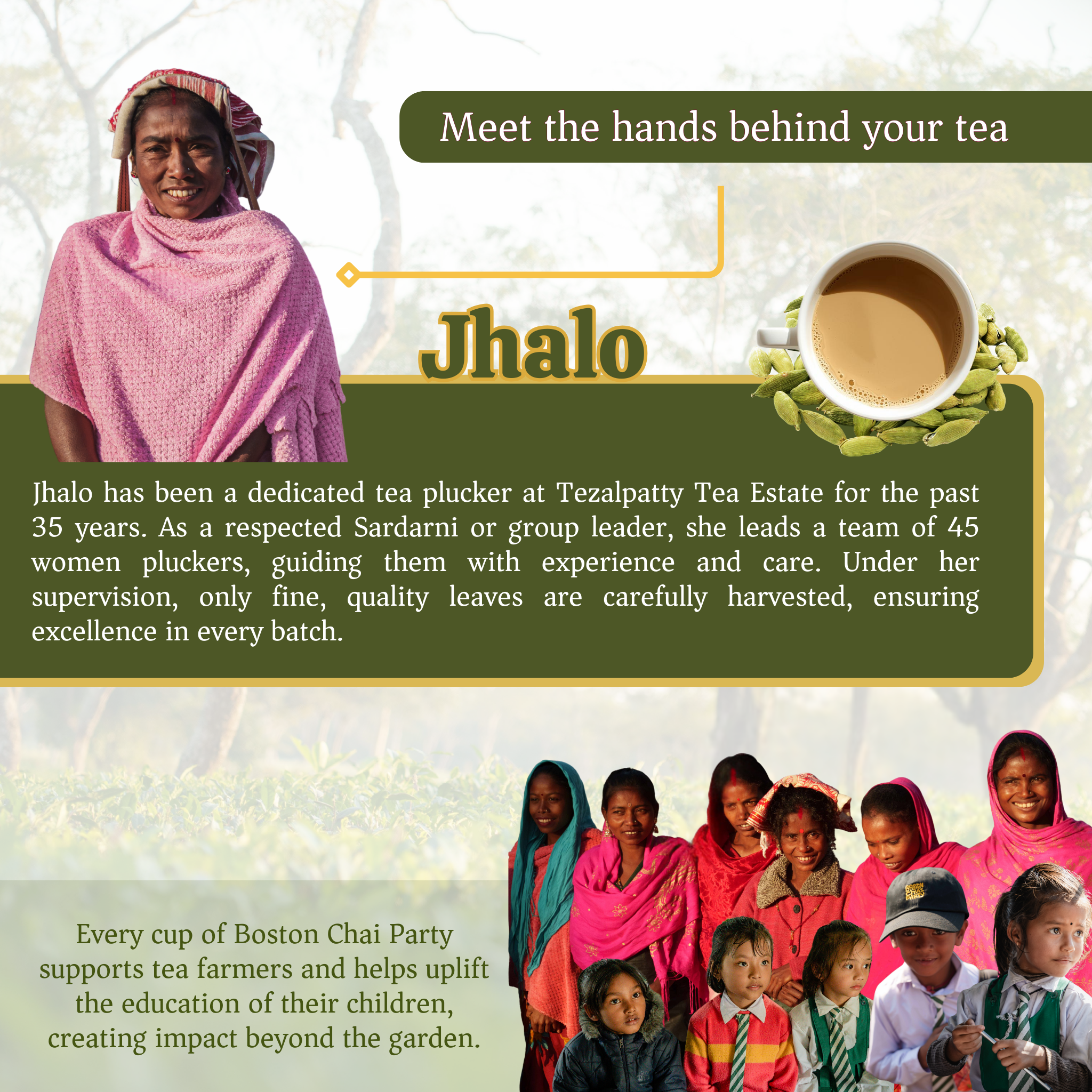 Cardamom Comfort - Loose Leaf Tea with Spices